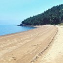 해수욕장사업소 이미지