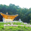 칠북면사무소 | 함안 여행 초가을 상사화가 내려다보는 함안 장춘사