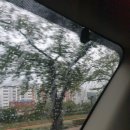 찬호분식