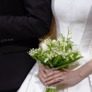 부케네 | 제이스플로라, 은방울 부케, 부토니에, 코사지 여름 본식후기(김연아 부케, 신민아 부케)