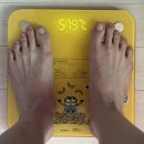 31140-6-76-12 | 정상체중 마운자로 5mg 76일차 -11.06kg