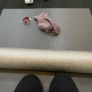 디비피트니스랩 하당 이미지