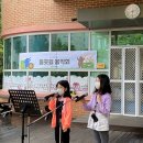 새빛초등학교 이미지