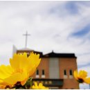 미륵사지로1길 이미지