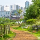 정석볼링365 이미지