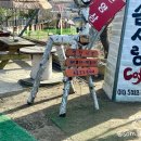산양삼치유농원