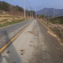 신창길2 이미지