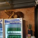 서귀포시청2청사 앞 이미지