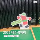사적인 제주 | 2026 제주북페어 후기 제주 아이랑 가볼만한 곳