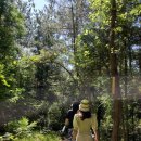 나인브릿지콘도미니엄 이미지