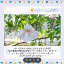 군북-3 | 마지막 동원 훈련 후기! 군북 예비군훈련장에서 보낸 2박 3일 일정