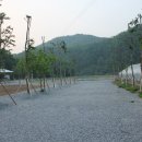 비발디 캠핑파크 이미지