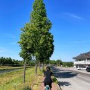 경주 러닝코스 3가지 왕복 약 5km 아침 달리기 상쾌했던 후기