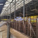 백암축사 이미지