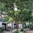 힐링펜션 리뮤 이미지