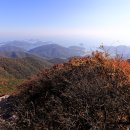 보리암로 이미지