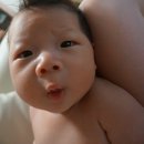 송헤어샵 네이버블로그