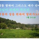 피니 이미지