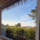 제주머물다 이미지