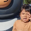 아우라지역 이미지