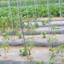 풍경을 요리하는 농부 이미지