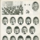 구덕초등학교 Daum카페
