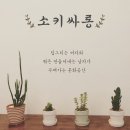소키싸롱
