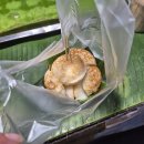 귀빈헤어 | 얼렁뚱땅 25년 10월 16일까지의 근황