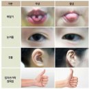 우성 이미지