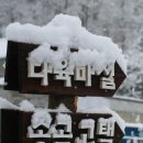마실다육 이미지