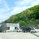 동강수산장어 이미지