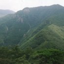 간월상회 이미지