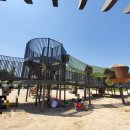 뚝섬한강공원-68 이미지