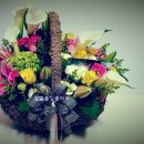 송정미라어린이집 이미지