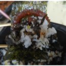 탄중로425번길 이미지