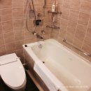 아나호텔 이미지