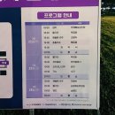 나도 팬플룻 연주자 이미지