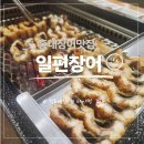 참나무숯불사우나 | 홍대장어 | 일편장어 홍대본점 든든한 보양 한끼 홍대장어맛집