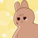 다짐휘트니스 이미지