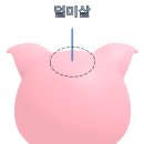 못난돼지뽈사랑 이미지