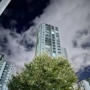 아크릴화(야간) 이미지