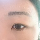 디바브로우 | 아이브로우마스카라로 부족했던 2%를 채운 디바덤 브로우 후기
