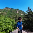 DK코리아 | 알로코리아 바디팬 무선 에어클립 야외 캠핑 등 사용하기 좋은 휴대용 손 선풍기 등산 핸즈프리 후기