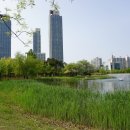 송도 해돋이공원 이미지