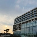 쿤스트 오토 | 네스트호텔 인천 룸서비스부터 쿤스트라운지까지 솔직후기