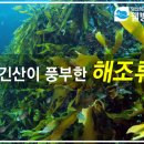 대호건강원 - 당진시 44만세로 54 | 대호건강원