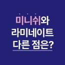 (주)케이엠교정덴탈 | 미니쉬와 라미네이트 다른 점은?