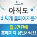 홈페이지 제작비용 3만원? 이미지