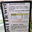 파보플라워카페 | 아산 탕정 카페 [파보플라워]