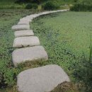 무 진 정 이미지